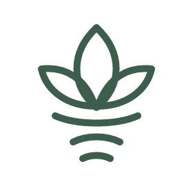 Prāna Yoga